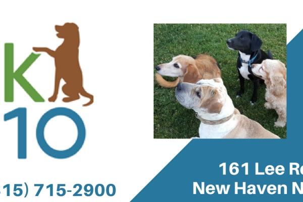 K10 Dog Training
